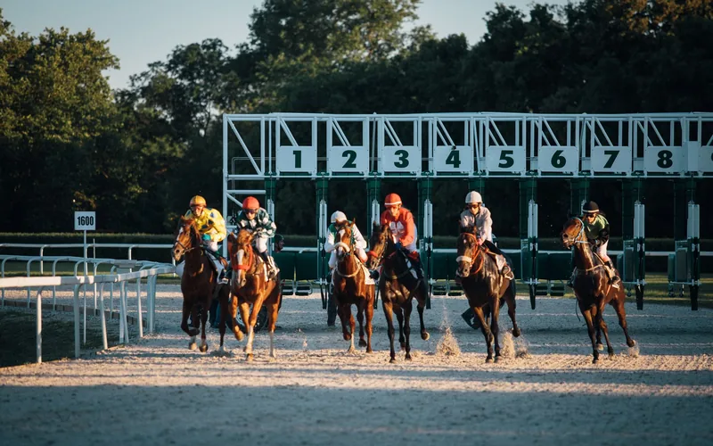 Thoroughbreds rounding the turn at an Australian racecourse priced in fixed-odds racing gambling markets